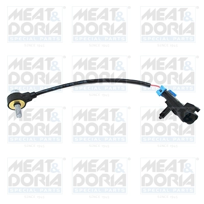 Knock Sensor